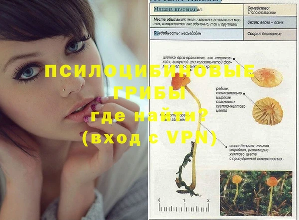 кокс Богданович
