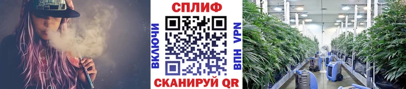 маркетплейс как зайти  Нолинск  Каннабис SATIVA & INDICA 